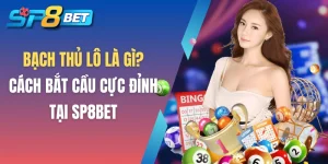 Bạch thủ lô