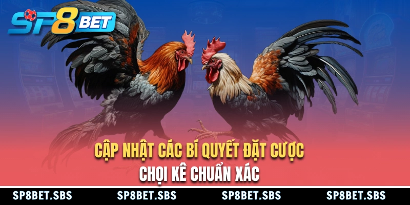 Kinh nghiệm cá cược tại trường gà Savan
