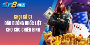 Chọi gà C1