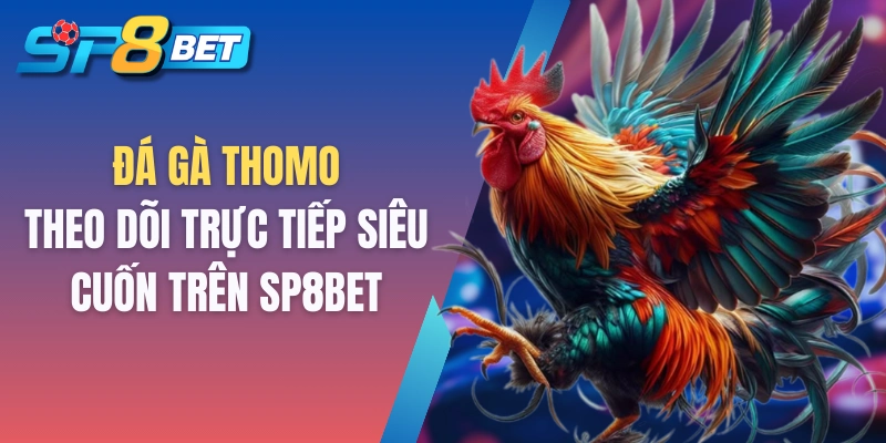 Đá gà Thomo