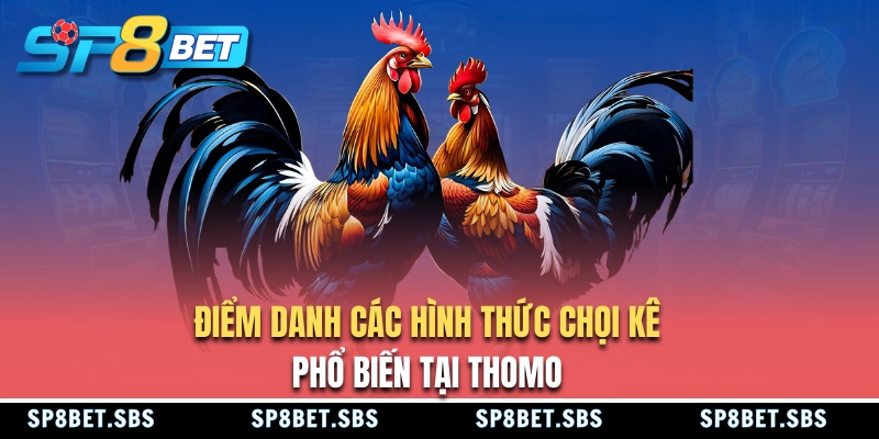 Các loại hình đá gà Thomo cung cấp