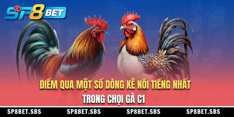 Một số giống gà nổi tiếng trong chọi gà C1