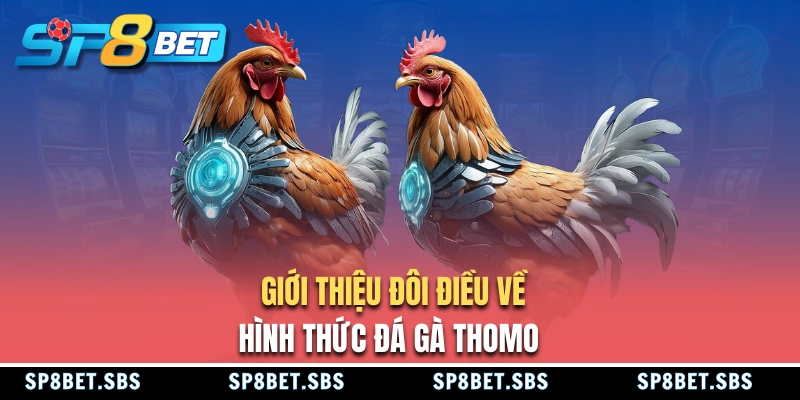 Giới thiệu loại hình đá gà Thomo
