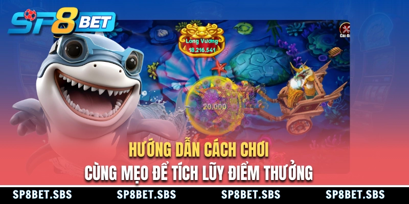 Cách chơi và bí kíp thắng khi chơi Vua Bắn Cá