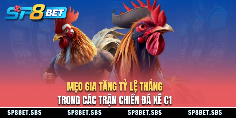 Mẹo tăng tỷ lệ thắng khi cá cược chọi gà C1