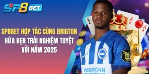 SP8BET hợp tác cùng Brigton