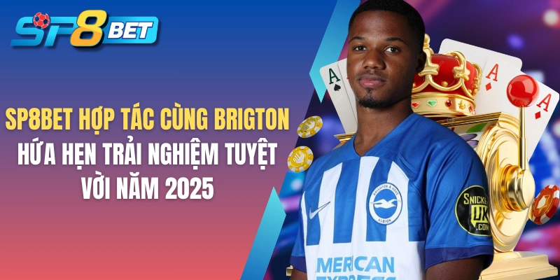 SP8BET hợp tác cùng Brigton