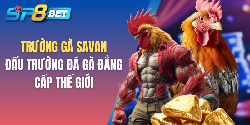 Trường gà Savan